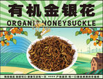 有机金银花干货展示