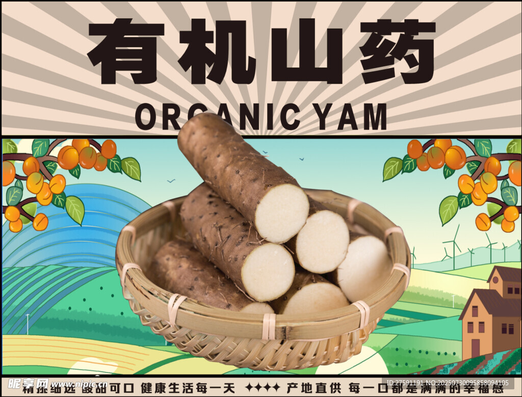 有机山药展示