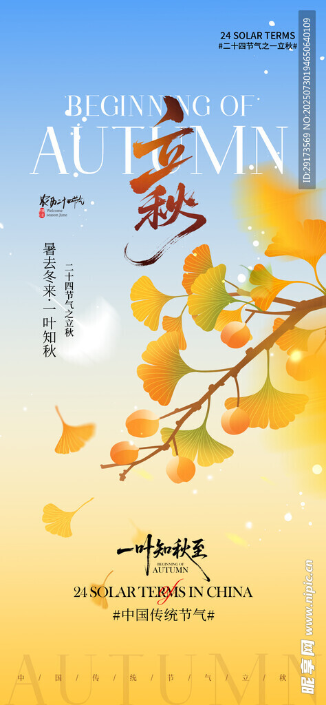 立秋海报7
