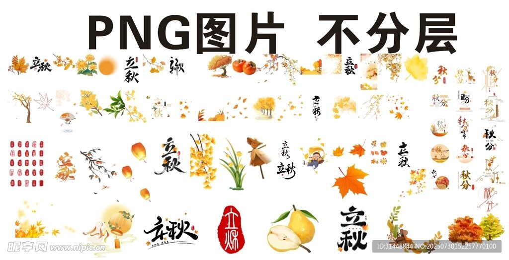 金秋 