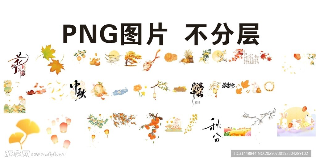 金秋