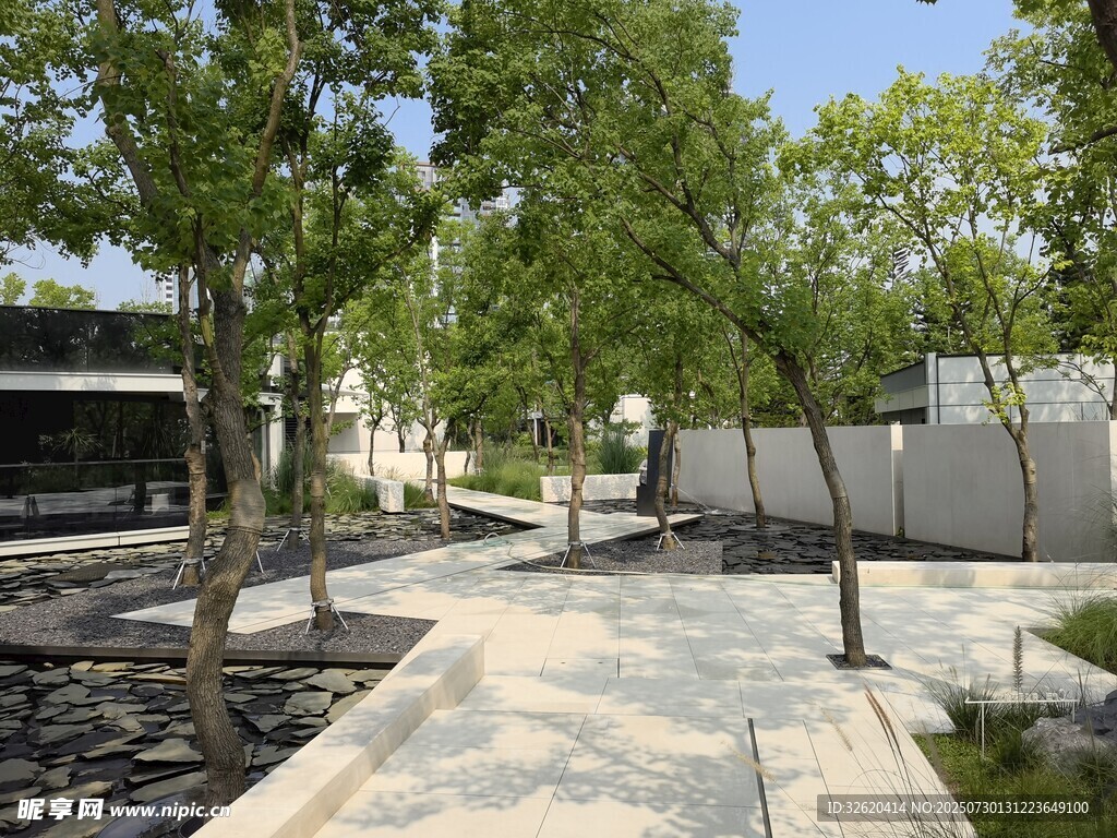 现代庭院景观设计一角