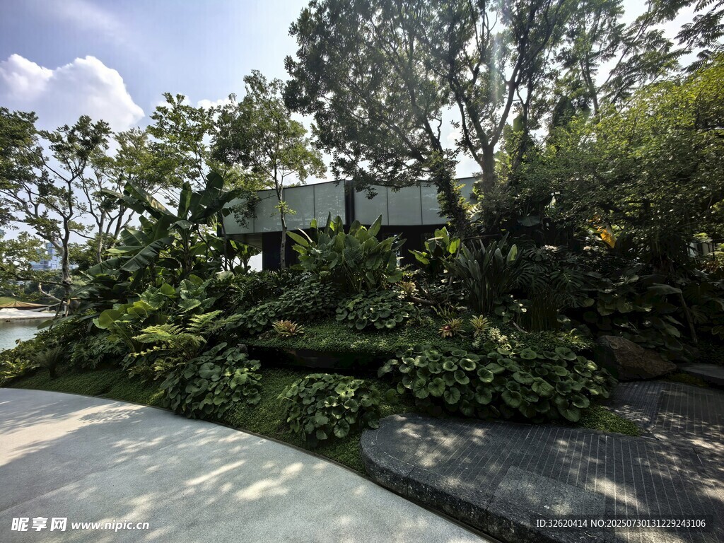 静谧园林景观一角