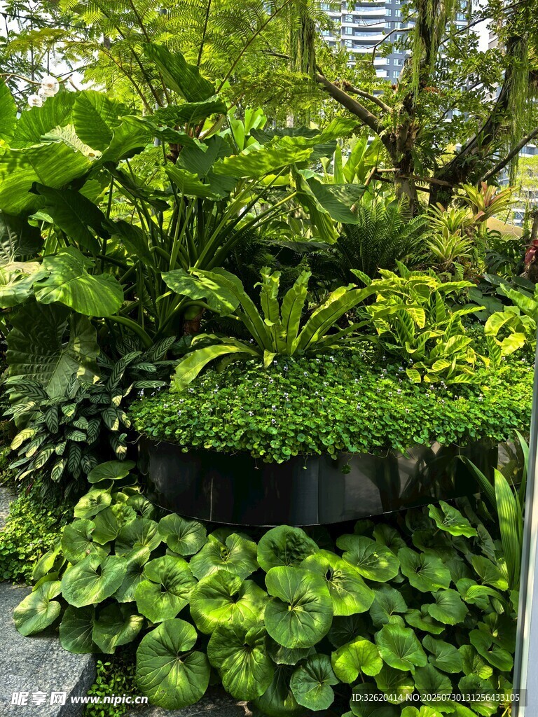 绿植墙景观 生机盎然