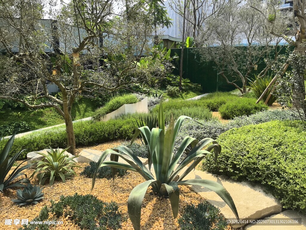 精致园林景观一角