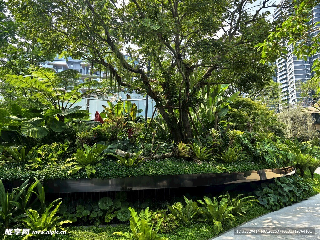 城市中的静谧绿植景观