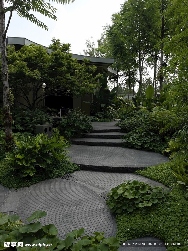 清幽庭院石板小径绿植景