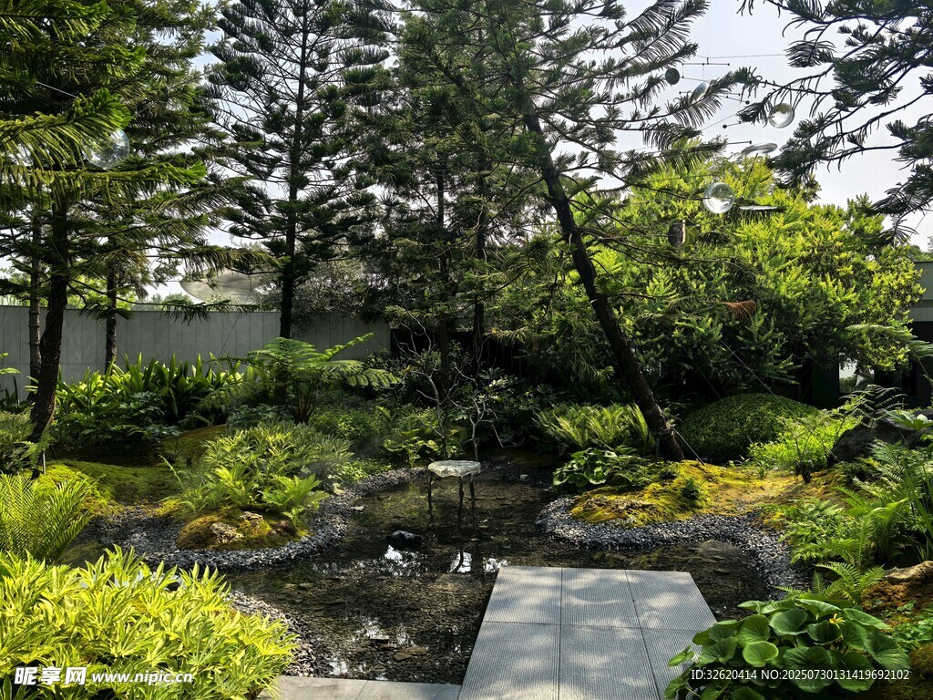 静谧园林景观小径
