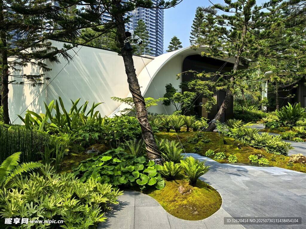 现代庭院绿植景观