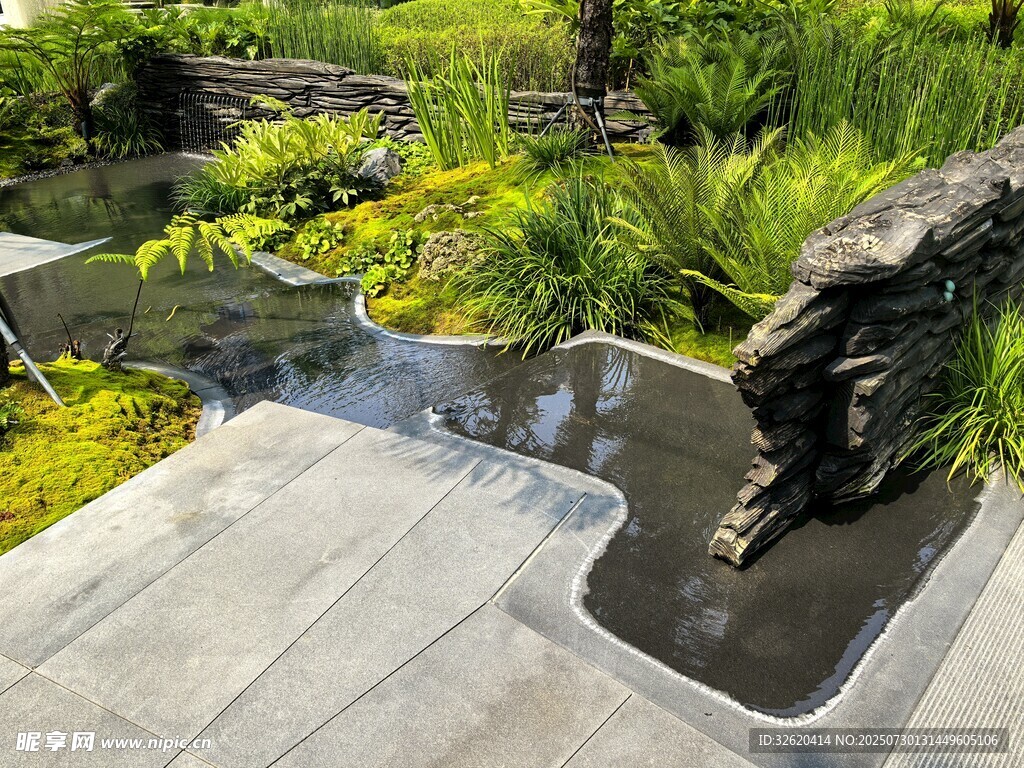 精致庭院水景与绿植景观