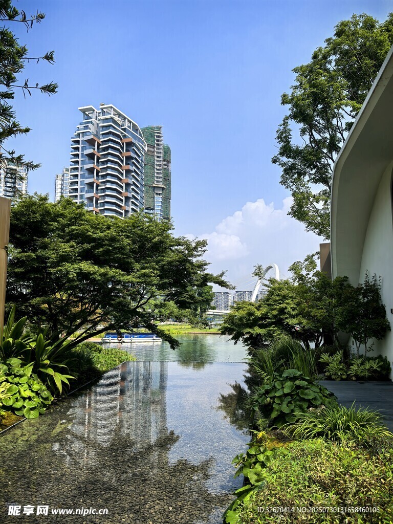 城市中静谧的水景与绿植