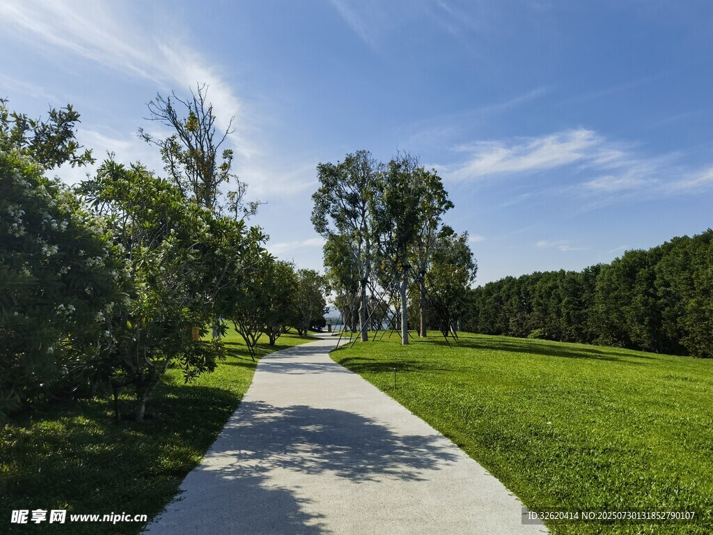 林间漫步道 绿意盎然景致