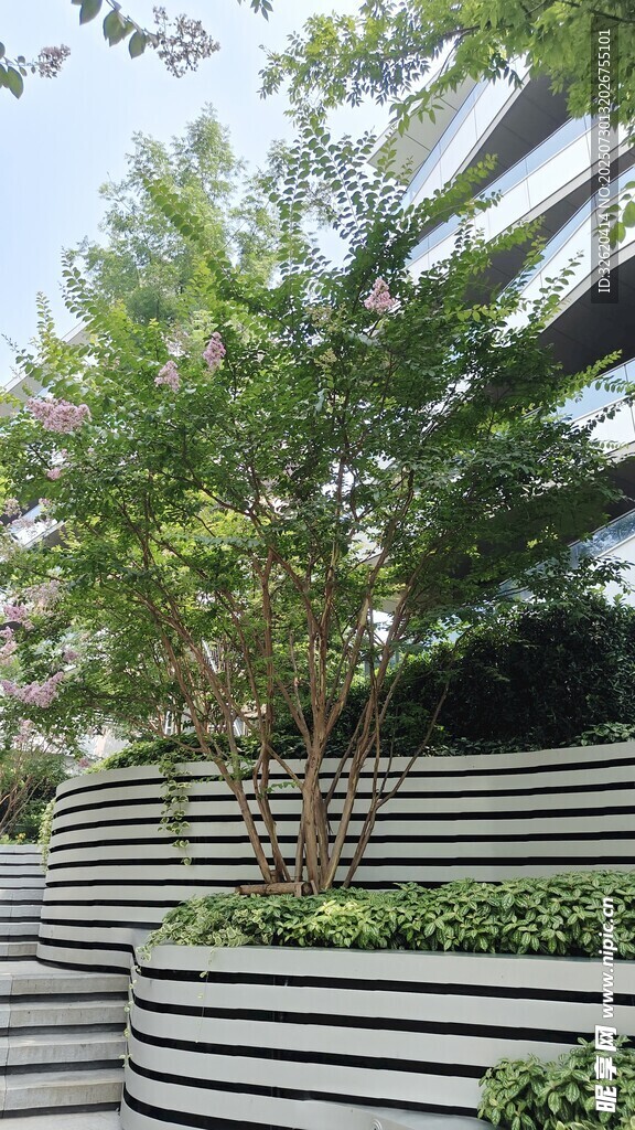 户外阶梯式绿植景观