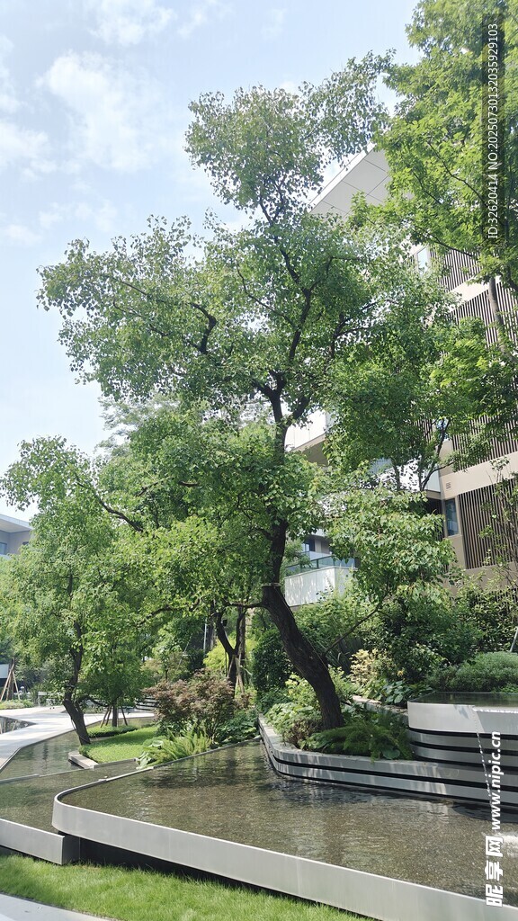 河畔古木与亭的静谧景致