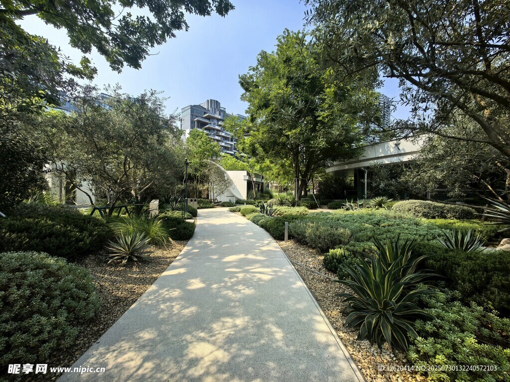 林荫小道 静谧园林景致