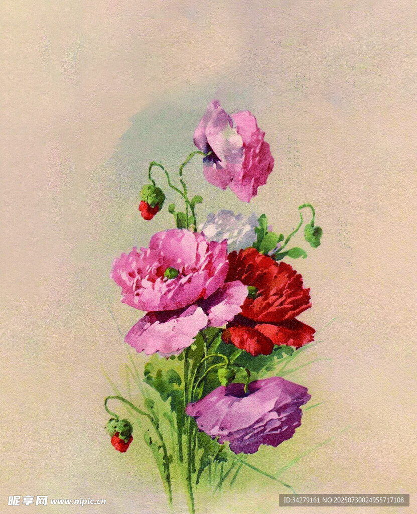 手绘多彩花卉插画