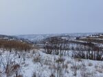 冬日雪覆原野景象