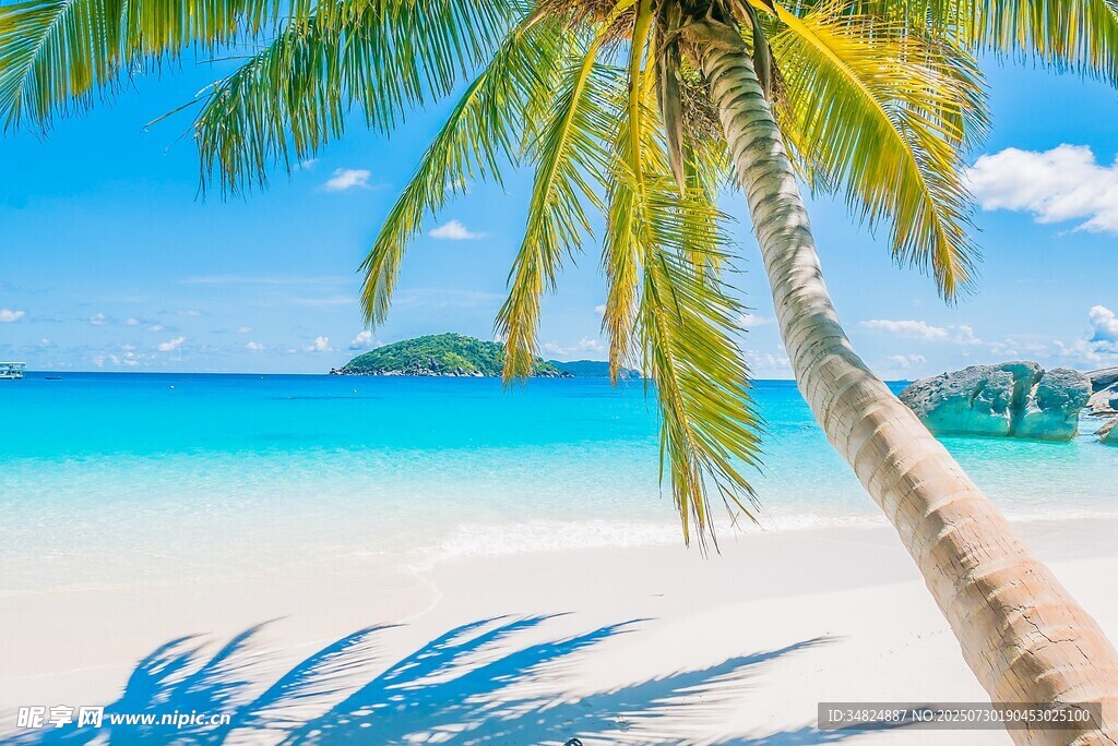 热带海滩椰树蓝天美景