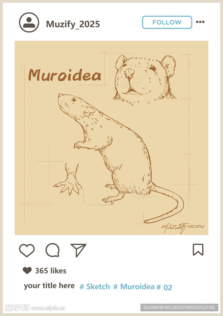 鼠类素描画