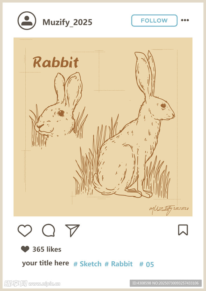兔子手绘稿