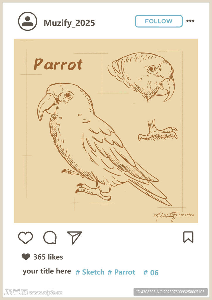 鹦鹉素描画