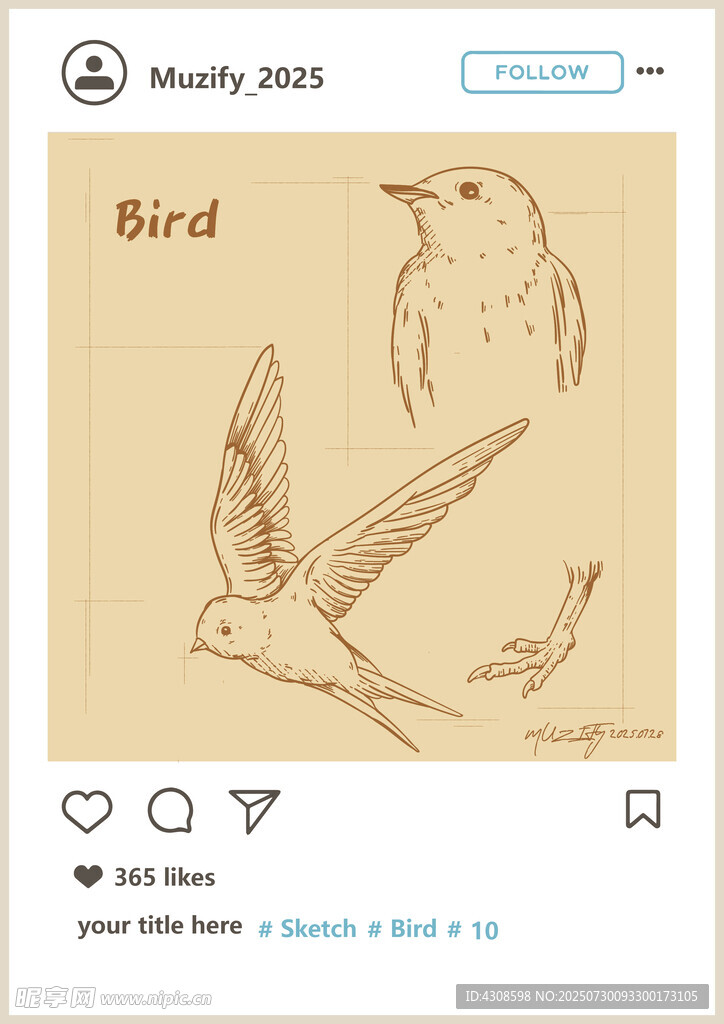 鸟 素描画