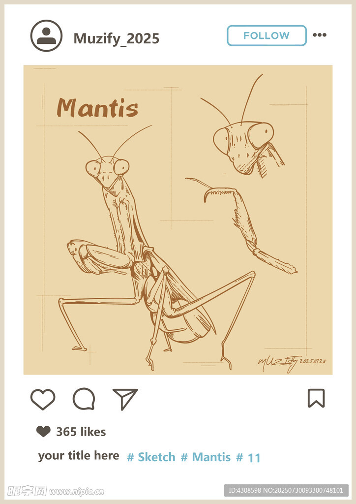 螳螂 素描画