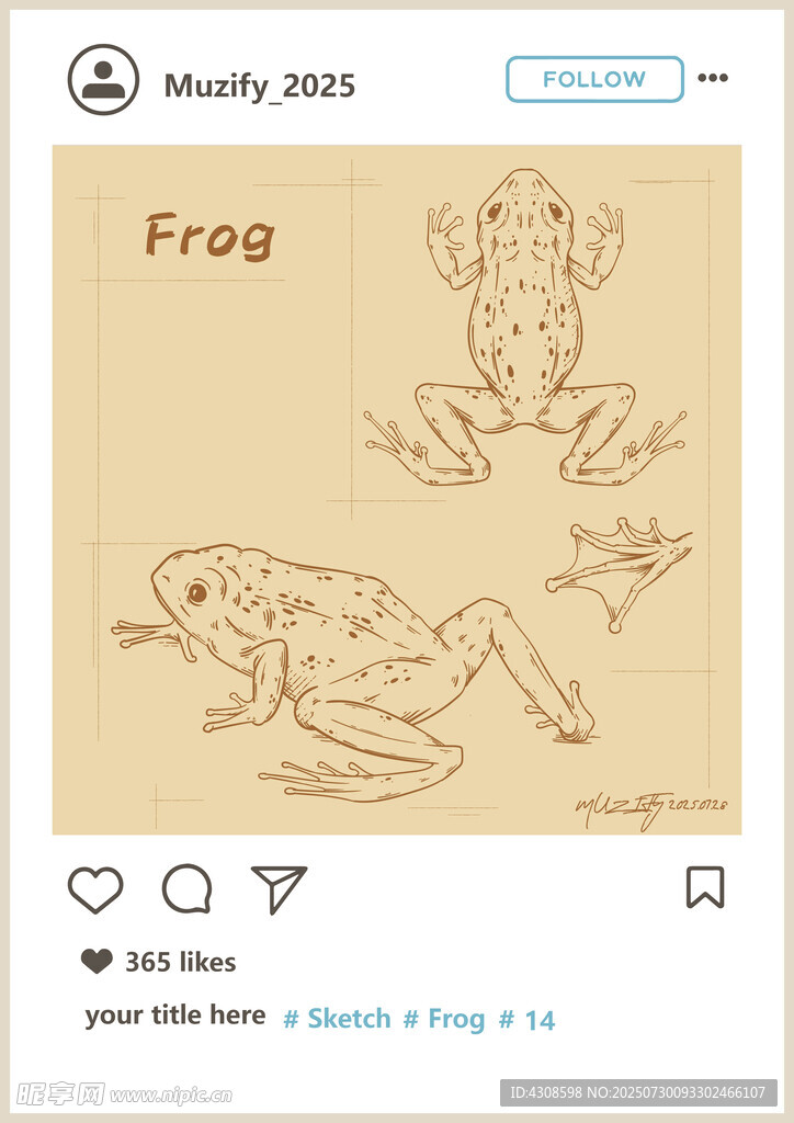 青蛙 素描画