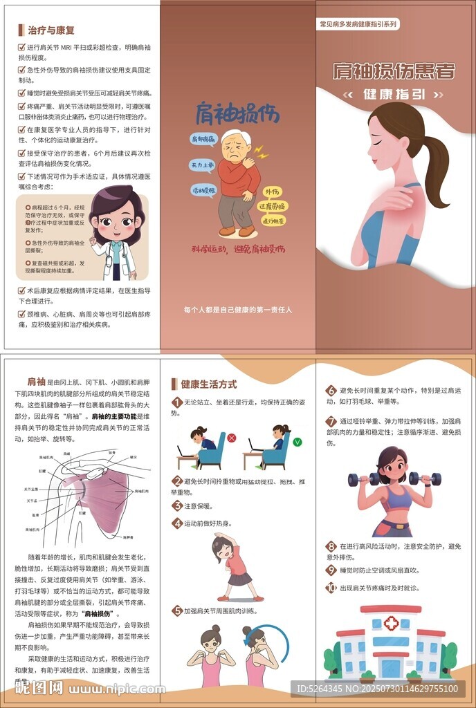 肩袖损伤健康指引
