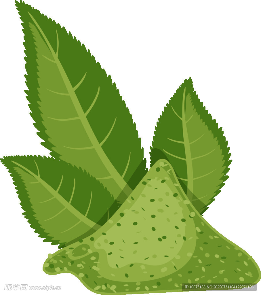 新鲜抹茶粉与翠绿茶叶