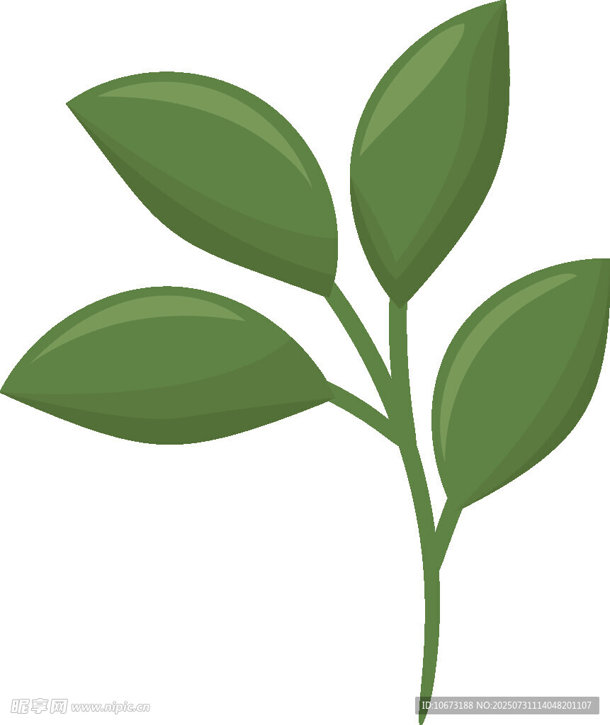 绿色植物枝叶插画