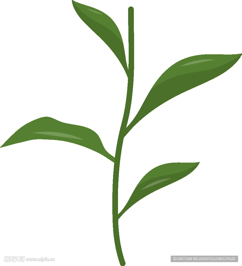 绿色单枝植物插画
