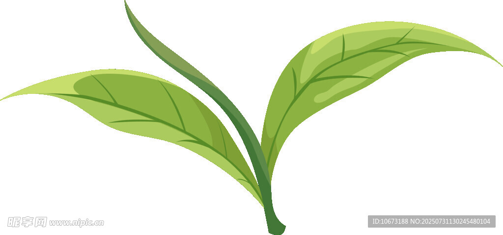 嫩绿双叶植物插画