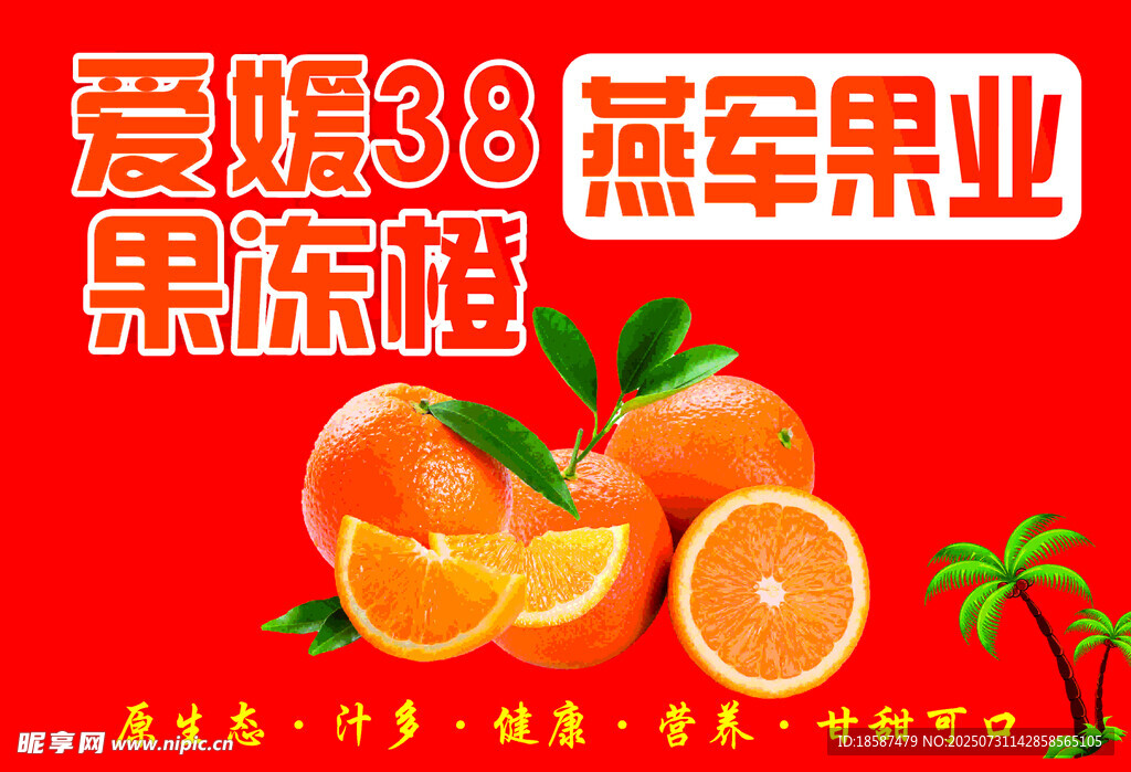 爱媛38号果冻橙新鲜诱人