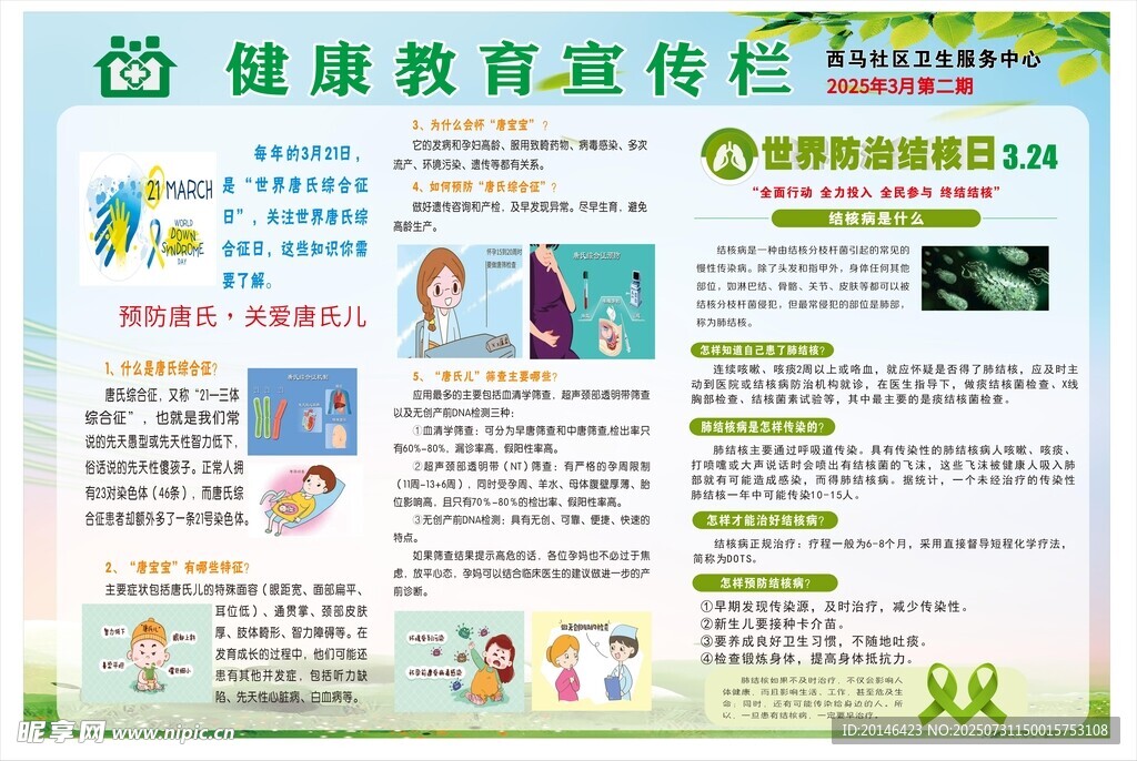 健康教育宣传栏展示