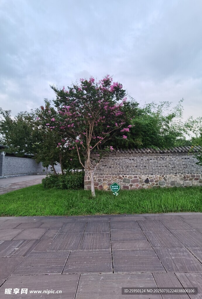 庭院一角的绿植与石墙