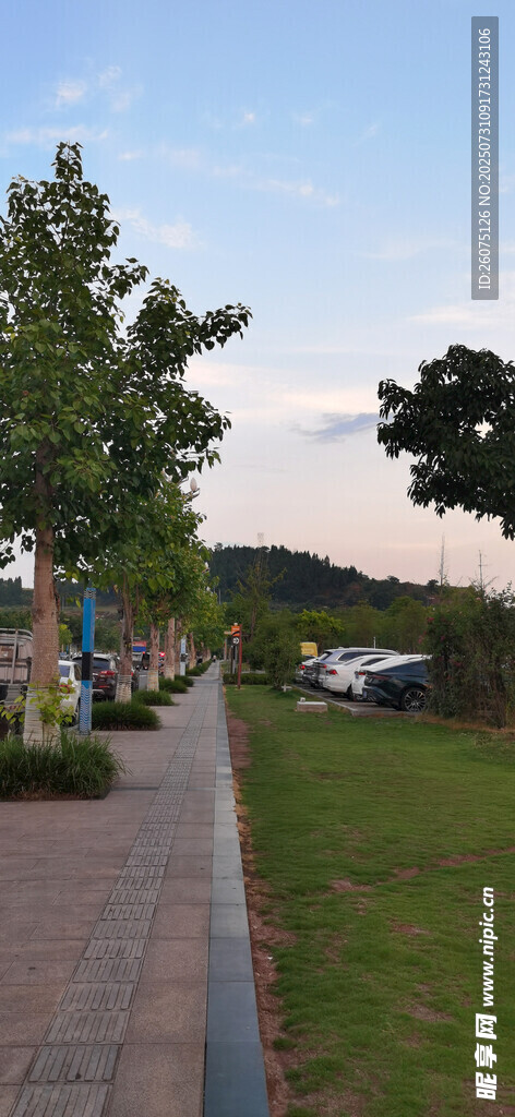 户外林荫步道风景