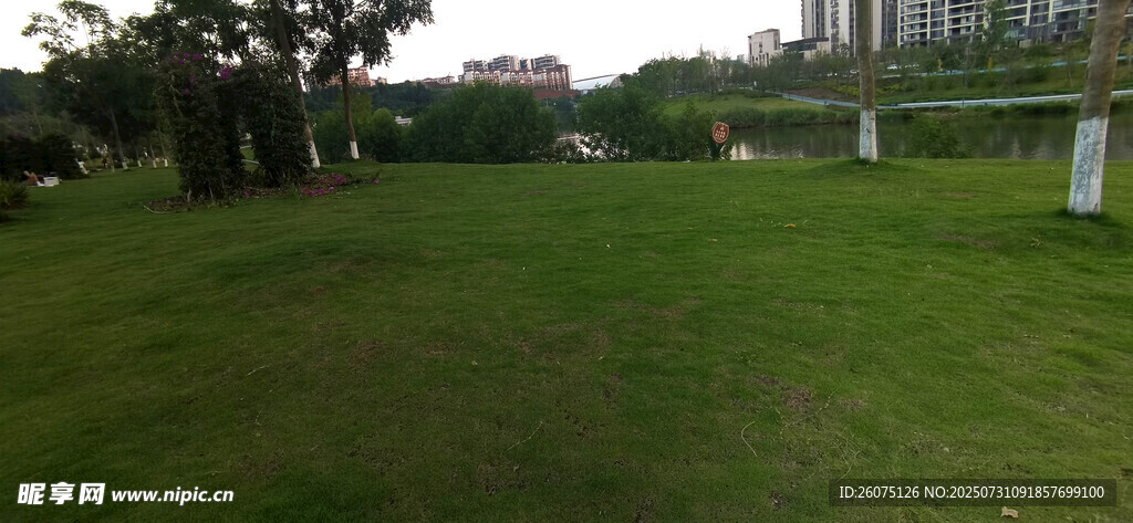绿意盎然的户外草地景观