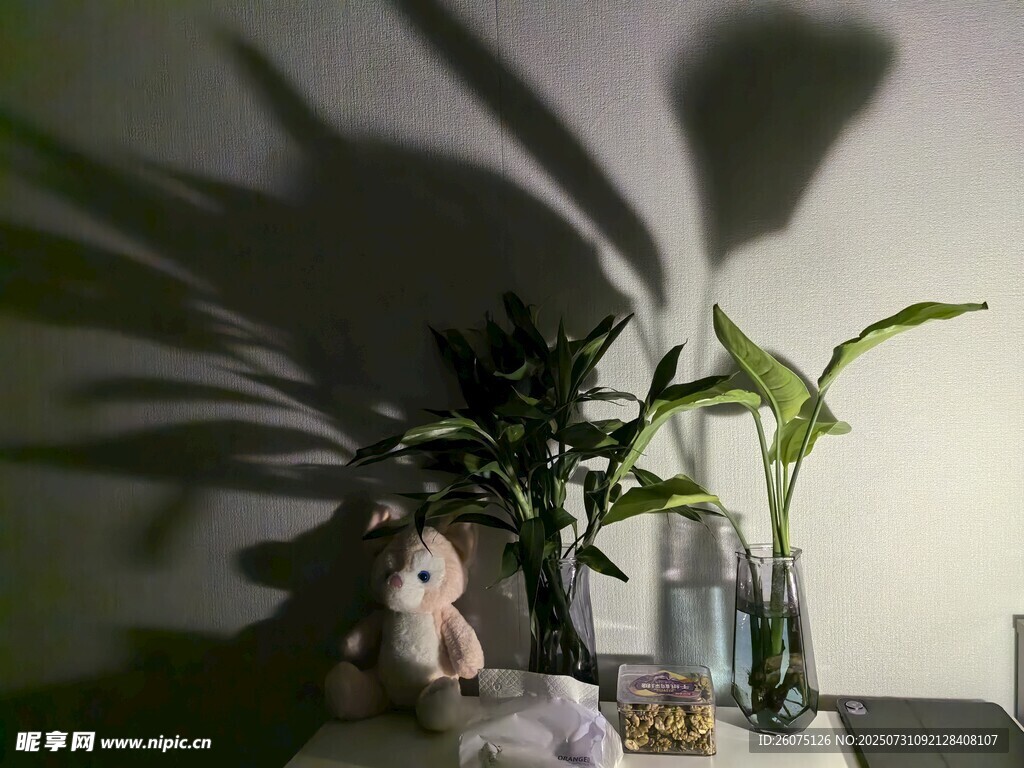 灯光下室内绿植与摆件的静谧角落