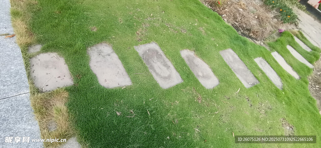 石板小径铺于翠绿草地