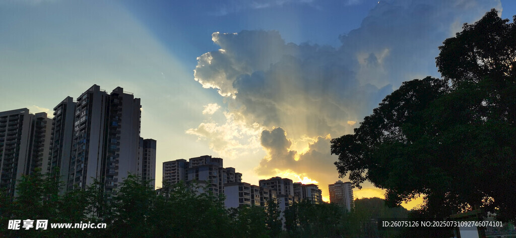 夕阳下的城市与树木景观