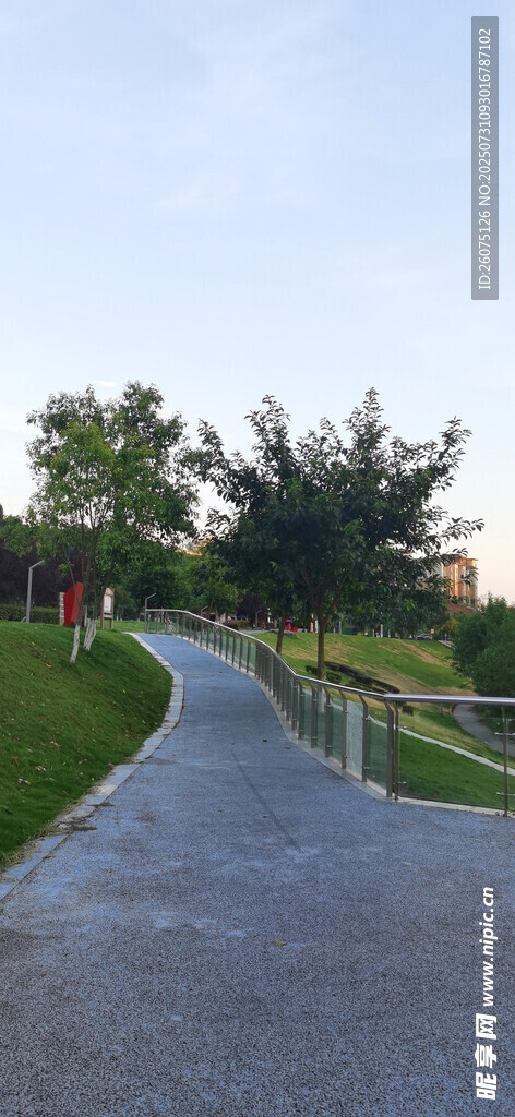 蜿蜒小路旁的葱郁景致