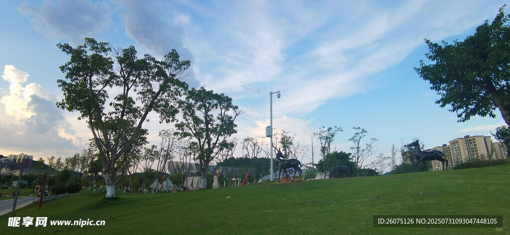 户外绿地蓝天树木风景
