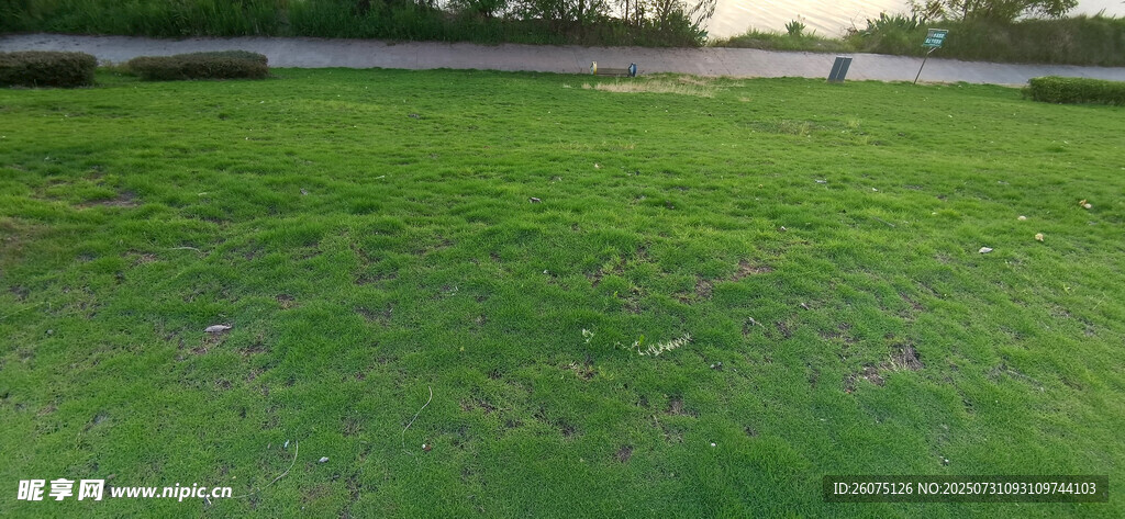宽阔平整的翠绿草地