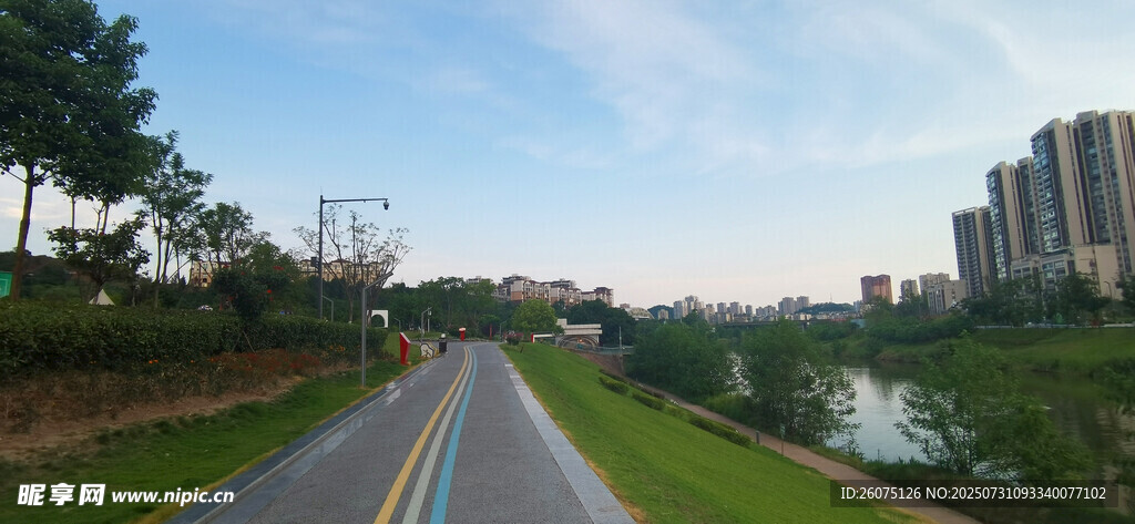 城市公园步道旁的自然风光