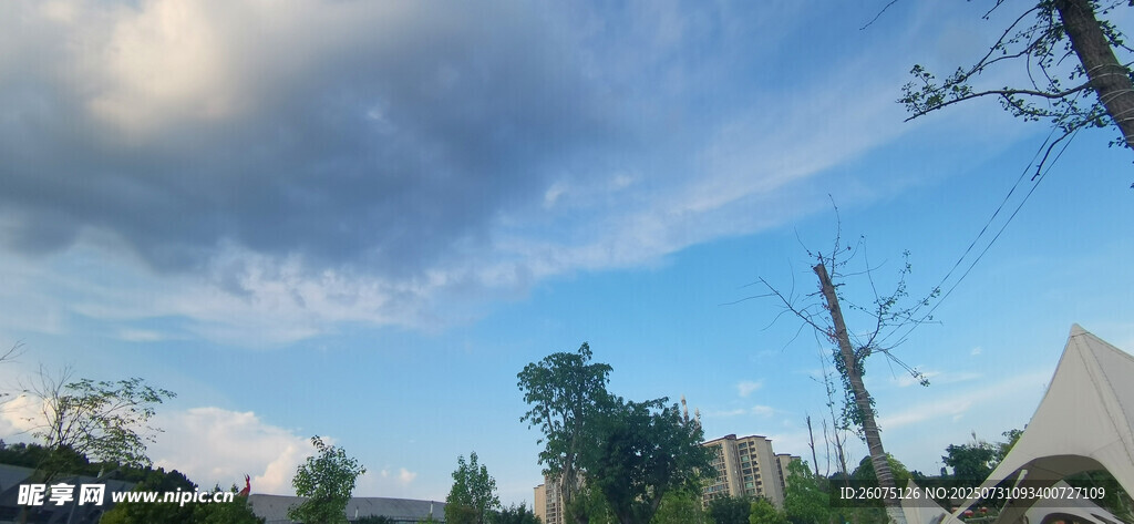 蓝天白云下的绿树与建筑