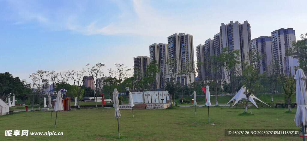 城郊绿地旁的高楼景观