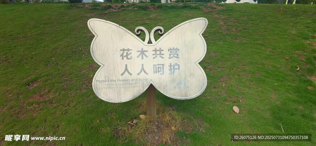 草地上的蝴蝶形花草牌