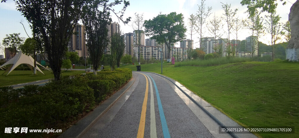 城市中的彩色自行车道