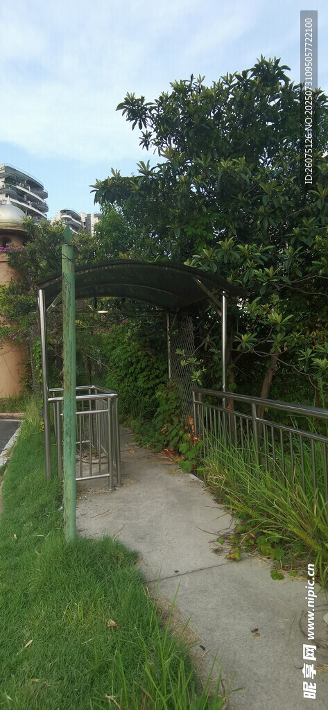 户外小径旁的绿植与建筑